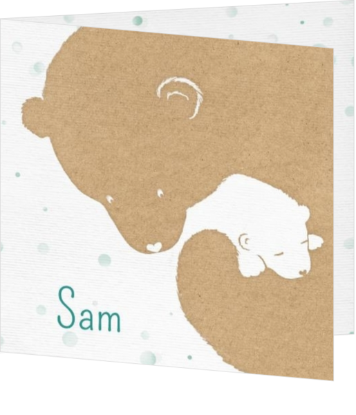 Sam - Moeder- en babybeer 