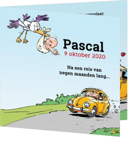 Pascal - Ooievaar bezorgd baby