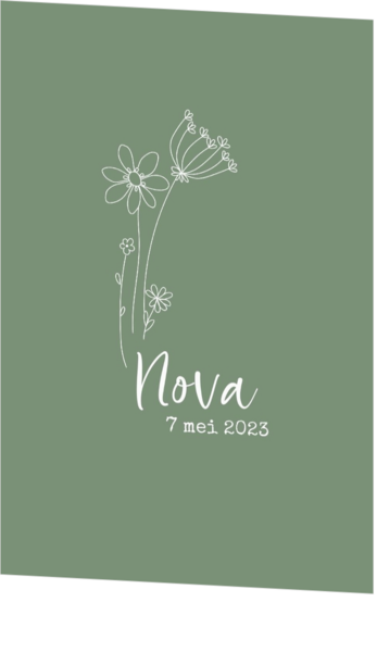Nova - Lijntekening bloemen wit