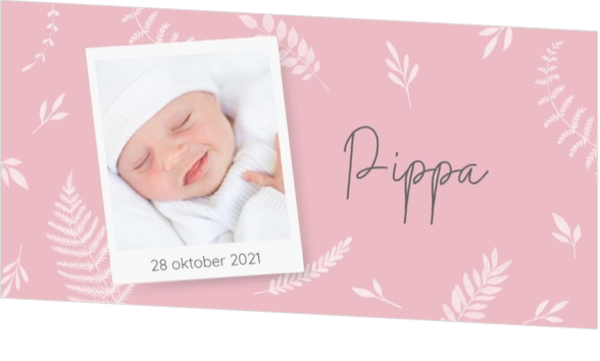 Pippa - Polaroid met roze blaadjes