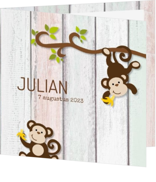 Geboortekaartje Julian - Vrolijke aapjes
