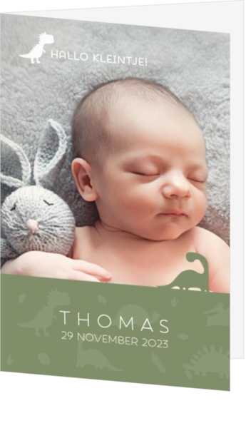 Geboortekaartje Thomas - Dino's