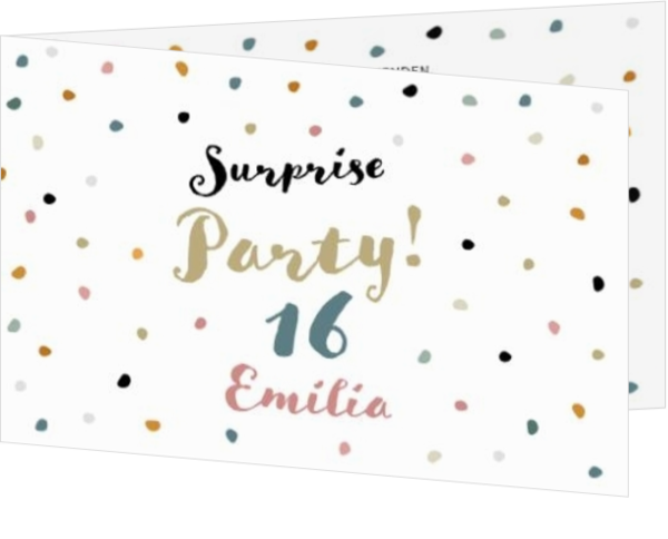 Uitnodiging - Party 16