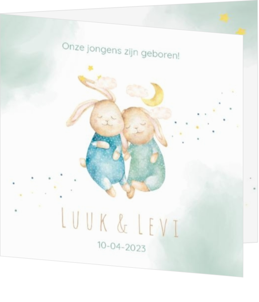 Geboortekaartje Luuk & Levi - Schattige konijntjes