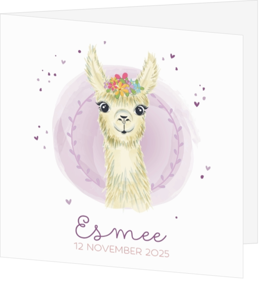 Geboortekaartje Esmee - Lieve aquarel lama