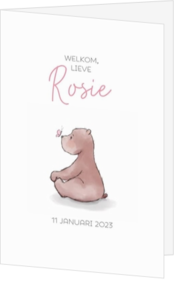 Geboortekaartjes Roze - kaart 211153-00