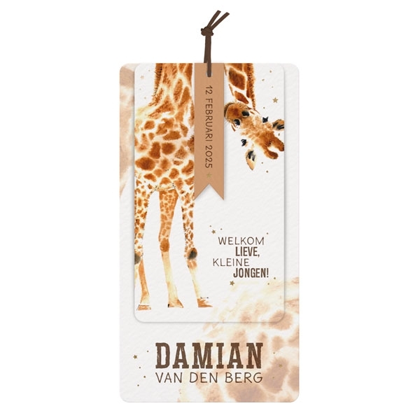 Geboortekaartje Damian - Giraf