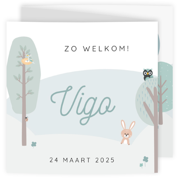 Geboortekaartje Vigo - Lieve diertjes