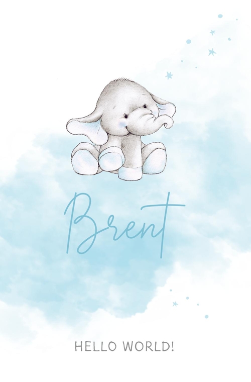Geboortekaartje Brent   Olifantje Voorkant