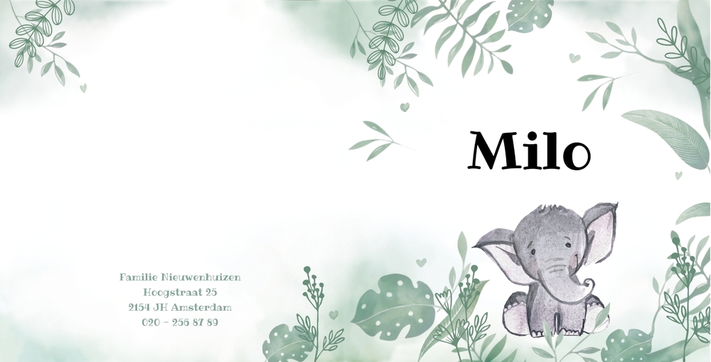 Geboortekaartje Milo   Olifant in de jungle Achterkant/Voorkant