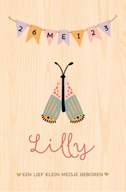 Geboortekaartje Lilly   vlindertje met vlaggetjes Voorkant
